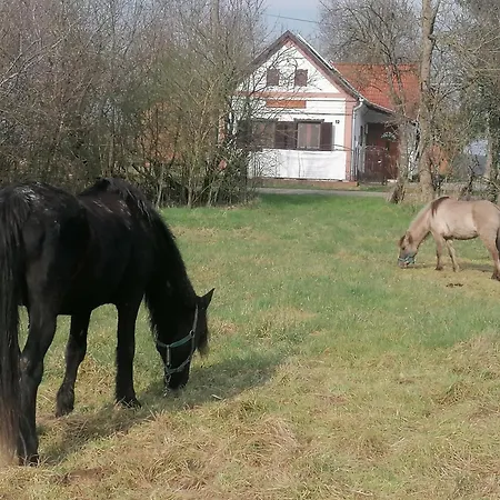 Jakuzzis,szaunas,kerkavendeghaz-orseg-csesztreg-kerkaujfalu *