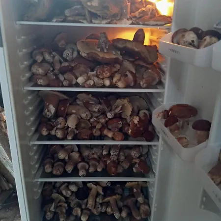 Feriehus Jakuzzis,szaunas,kerkavendeghaz-orseg-csesztreg-kerkaujfalu