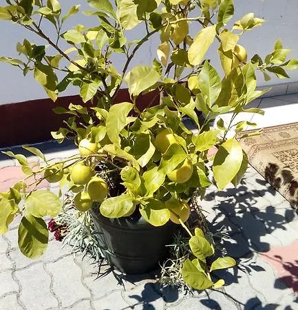 Jakuzzis,szaunás,kerkavendégház-őrség-csesztreg-kerkaujfalu *