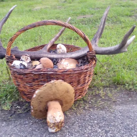 Hébergement de vacances Jakuzzis,szaunás,kerkavendégház-őrség-csesztreg-kerkaujfalu *