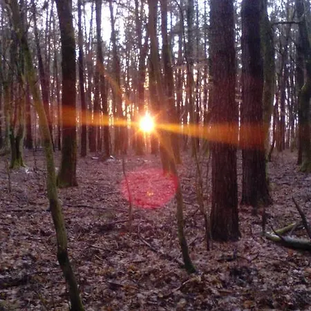 Hébergement de vacances Jakuzzis,szaunás,kerkavendégház-őrség-csesztreg-kerkaujfalu Csesztreg
