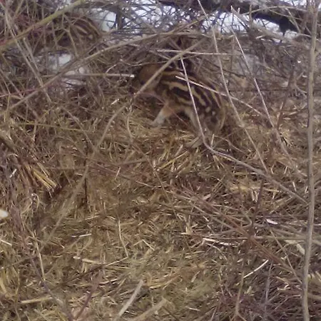 Jakuzzis,szaunás,kerkavendégház-őrség-csesztreg-kerkaujfalu *