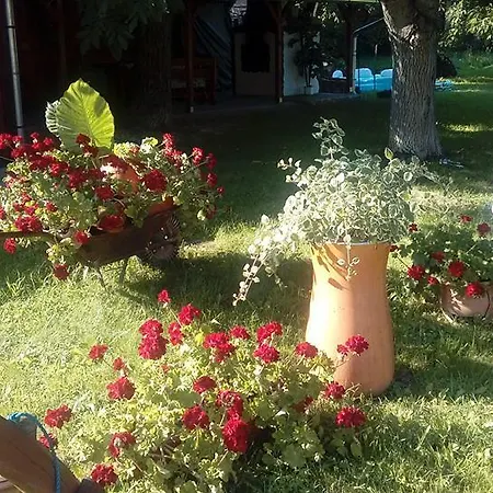 Hébergement de vacances Jakuzzis,szaunás,kerkavendégház-őrség-csesztreg-kerkaujfalu *